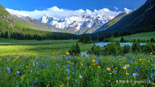 携程页面中的夏塔雪山、河流与草甸